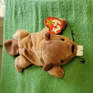 Beanie baby Bucky